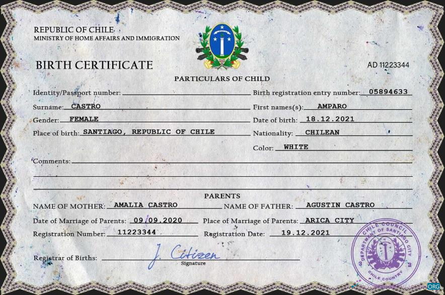 Download Chile vital record birth certificate PSD template Photoshop template